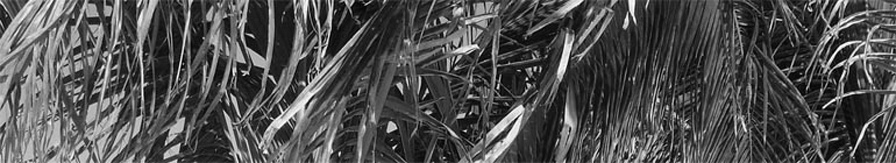 WilfridWong.com header image 3